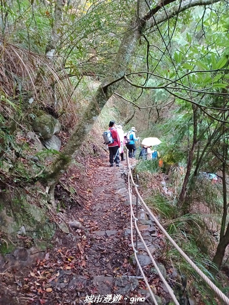 20230101_073249.jpg 20230101_073249.jpg