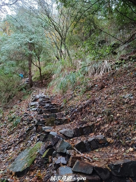 20230101_073411.jpg 20230101_073411.jpg