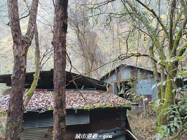 20230101_073821.jpg 20230101_073821.jpg