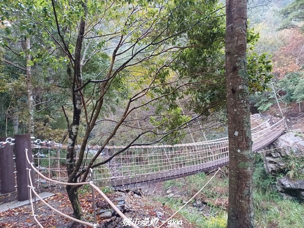 20230101_074140.jpg 20230101_074140.jpg