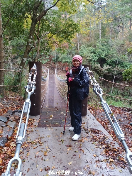 20230101_074209.jpg 20230101_074209.jpg