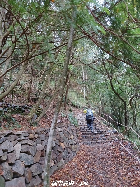 20230101_074244.jpg 20230101_074244.jpg