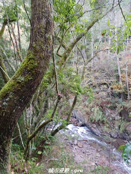 20230101_074359.jpg 20230101_074359.jpg