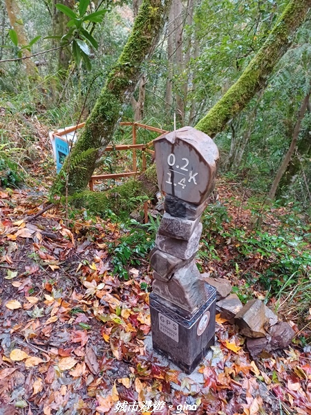 20230101_074451.jpg 20230101_074451.jpg