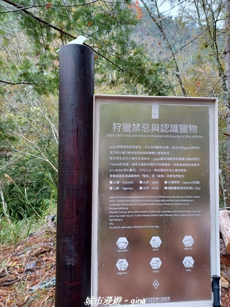 20230101_074608.jpg 20230101_074608.jpg