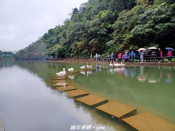 【宜蘭三星】湖光水色。 長埤湖風景區(環湖步道)