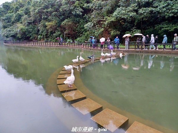 【宜蘭三星】湖光水色。 長埤湖風景區(環湖步道)