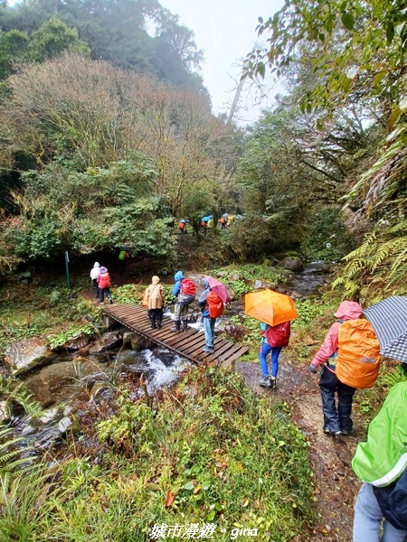 20230101_105018.jpg 20230101_105018.jpg