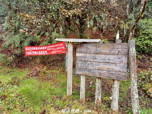 20230101_104904.jpg 20230101_104904.jpg