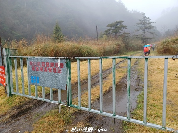 20230101_104626.jpg 20230101_104626.jpg