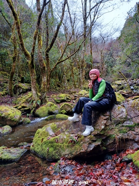 20230101_104612.jpg 20230101_104612.jpg