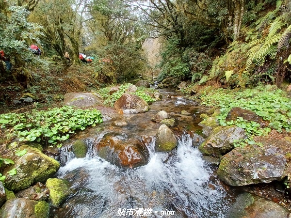 20230101_105039.jpg 20230101_105039.jpg