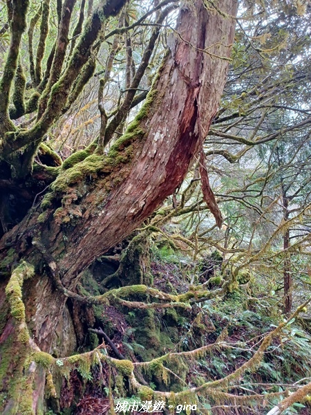 20230101_105313.jpg 20230101_105313.jpg