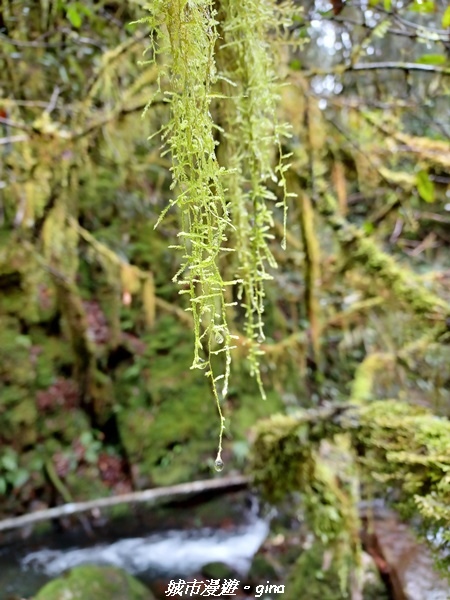 20230101_110146.jpg 20230101_110146.jpg