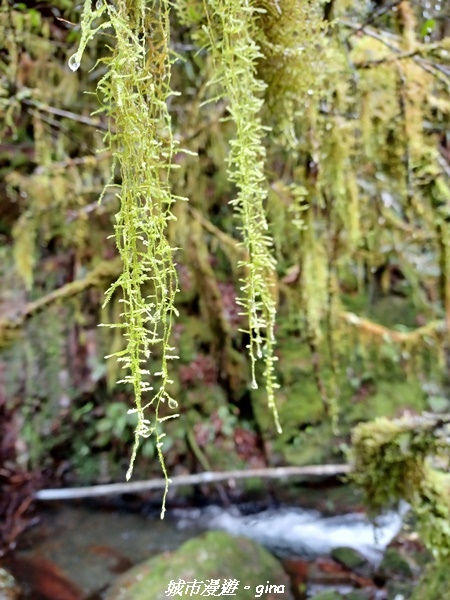 20230101_110159.jpg 20230101_110159.jpg