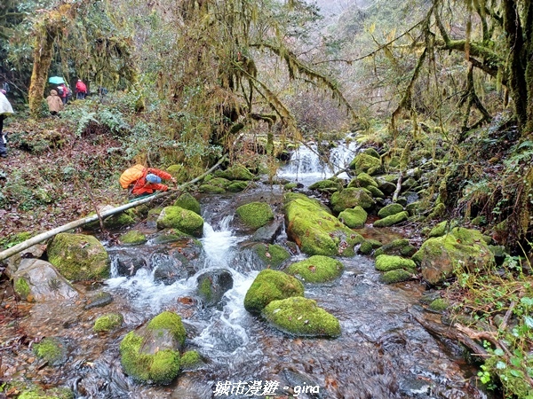 20230101_110250.jpg 20230101_110250.jpg