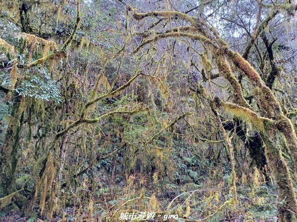 20230101_110905.jpg 20230101_110905.jpg