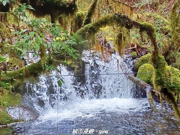 20230101_110346.jpg 20230101_110346.jpg