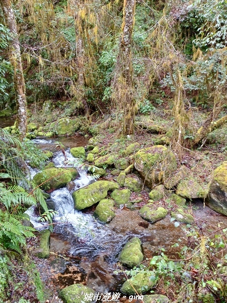 20230101_110953.jpg 20230101_110953.jpg