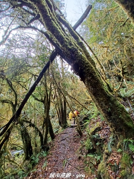 20230101_111334.jpg 20230101_111334.jpg