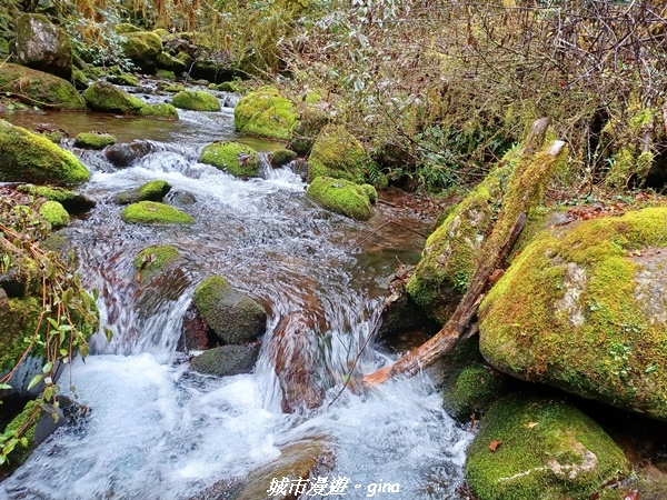 20230101_111238.jpg 20230101_111238.jpg