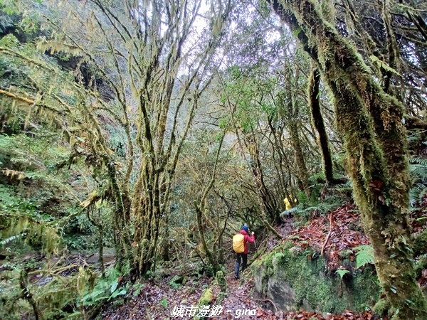 20230101_111448.jpg 20230101_111448.jpg