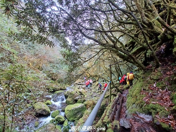 20230101_111549.jpg 20230101_111549.jpg