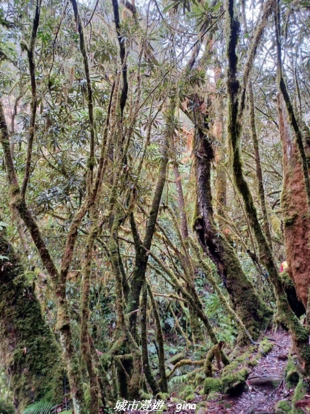 20230101_111517.jpg 20230101_111517.jpg