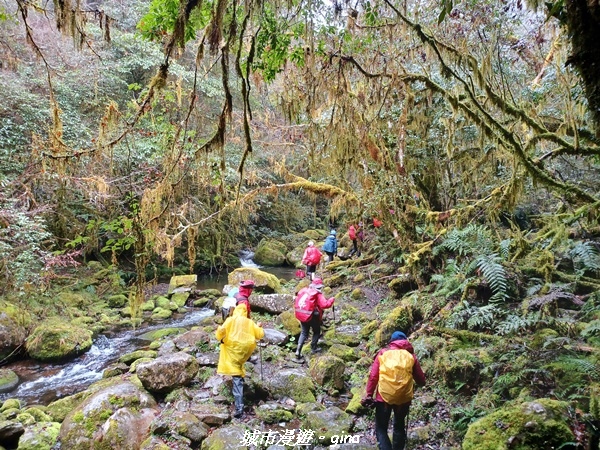 20230101_111611.jpg 20230101_111611.jpg