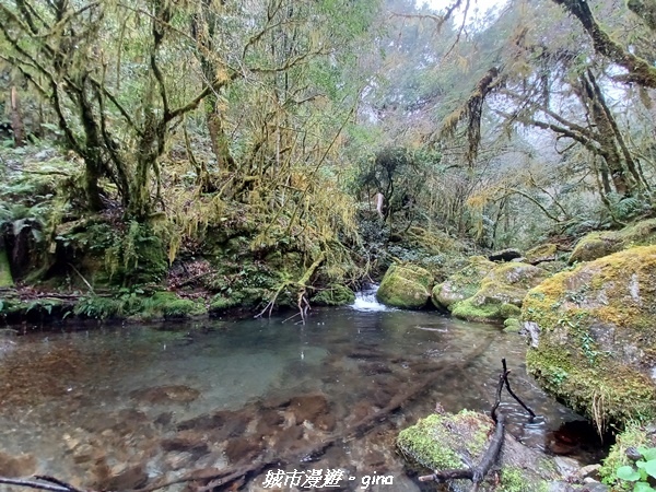 20230101_111713.jpg 20230101_111713.jpg