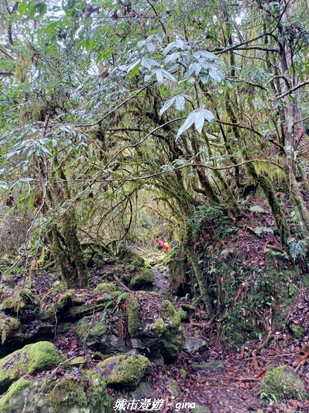 20230101_111842.jpg 20230101_111842.jpg