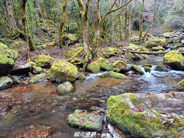 20230101_112658.jpg 20230101_112658.jpg