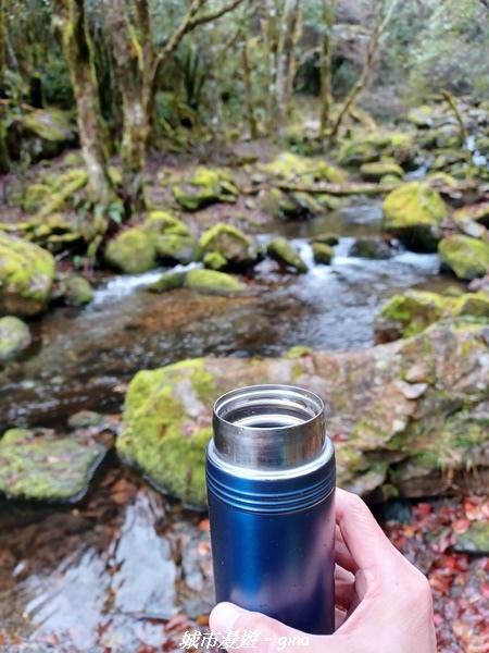 20230101_114833.jpg 20230101_114833.jpg