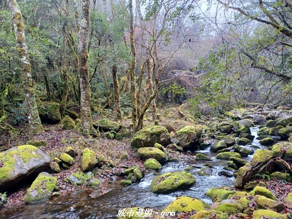 20230101_121251.jpg 20230101_121251.jpg