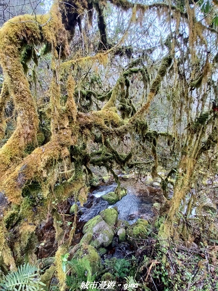 20230101_123309.jpg 20230101_123309.jpg