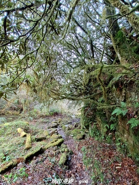 20230101_123402.jpg 20230101_123402.jpg