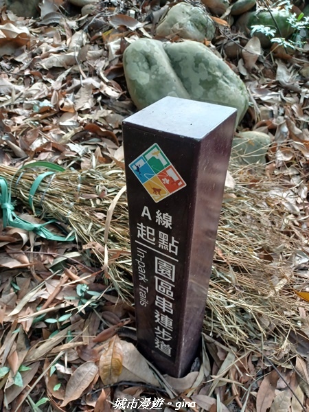 20230114_130035.jpg 20230114_130035.jpg