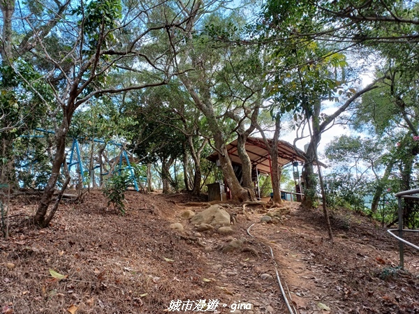 20230114_131431.jpg 20230114_131431.jpg