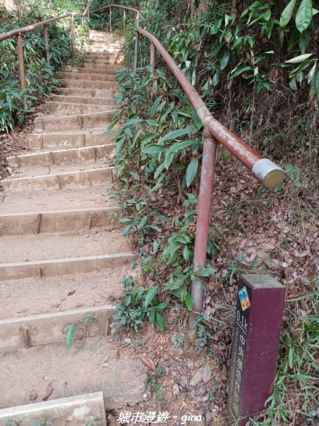 20230114_133215.jpg 20230114_133215.jpg