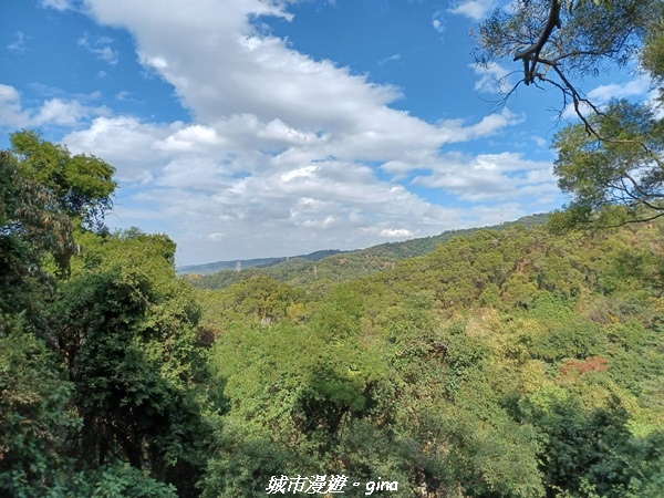 20230114_134208.jpg 20230114_134208.jpg