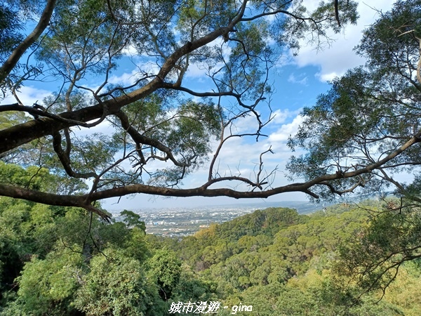 20230114_134301.jpg 20230114_134301.jpg