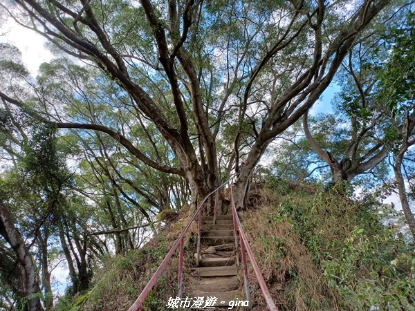 20230114_134359.jpg 20230114_134359.jpg