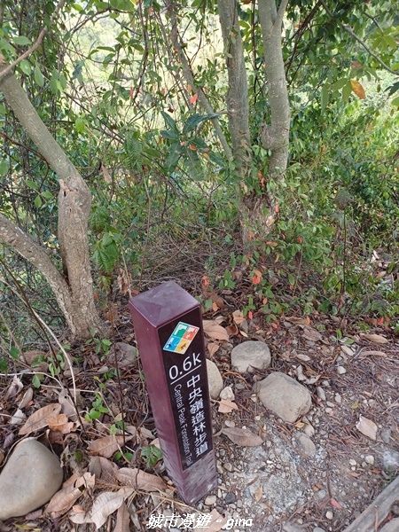 20230114_135319.jpg 20230114_135319.jpg