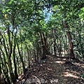20230126_111356.jpg