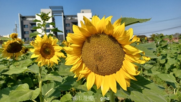 20230127_140707.jpg 20230127_140707.jpg