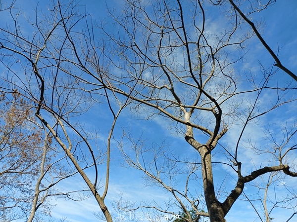20230219_113514.jpg