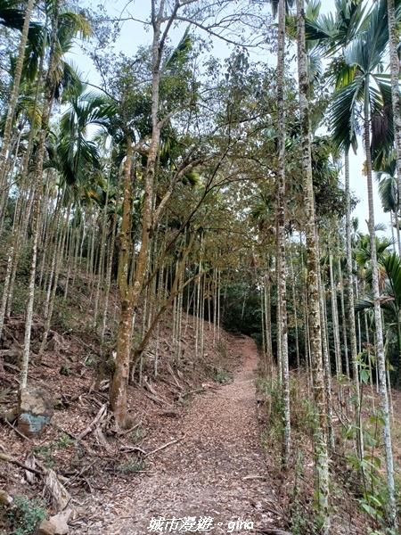 20230225_093601.jpg 20230225_093601.jpg