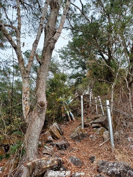 20230225_094538.jpg 20230225_094538.jpg