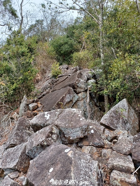 20230225_095049.jpg 20230225_095049.jpg