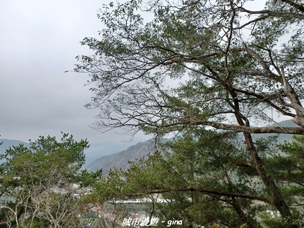 20230225_094934.jpg 20230225_094934.jpg